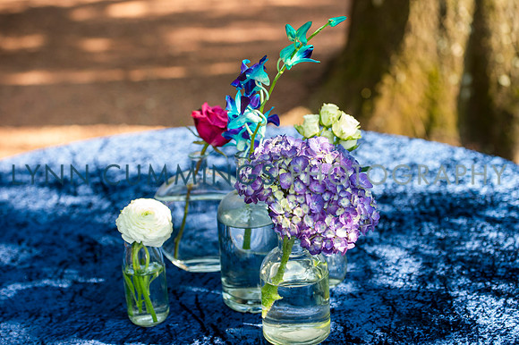 635-Lynn-Cummings-Photography