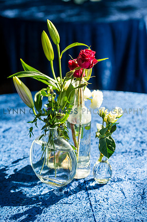 634-Lynn-Cummings-Photography