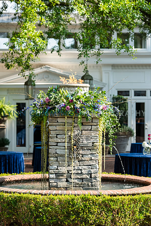 640-Lynn-Cummings-Photography