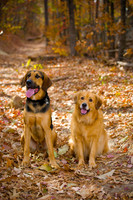 Lynn-Cummings-Photography-014