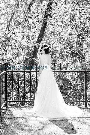 213-Lynn-Cummings-Photography