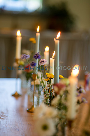 342-Lynn-Cummings-Photography